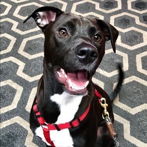 Meet your Posher, Christopher